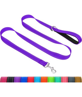 Taglory Reflective Heavy Duty Dog Leash 1 in x 4 ft, Neoprene Padded Handle and Metal Hook Pet Training Leashes for Small Medium Large Dogs, Purple