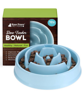 Raw Paws Slow Feeder Dog Bowl - Maze Dog Bowl to Slow Down Eating - Dog Bowl for Fast Eaters - Dog Puzzle Bowl for Slower Eating - Slow Drink Water Bowl for Dogs