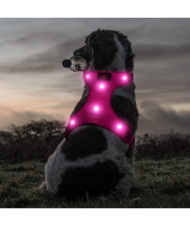 Ezier LED Dog Harness Medium- USB Rechargeable No Pull Puppy Harness, Adjustable Reflective Dog Lights for Night Walking(Medium, Rose Red)