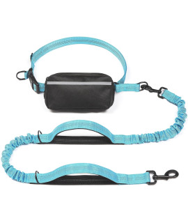 iYoShop Hands Free Dog Leash with Zipper Pouch, Dual Padded Handles and Durable Bungee for Walking, Jogging and Running Your Dog (Medium, 8-25 lbs, Blue)