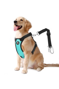 VavoPaw Dog Vehicle Safety Vest Harness, Adjustable Soft Padded Mesh Car Seat Belt Leash Harness with Travel Strap and Carabiner for Most Cars, Large Size, Blue