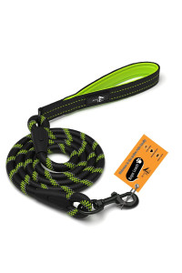 ACTIVE PETS Strong Dog Rope Leash with Soft Comfortable Padded Handle and Highly Reflective Threads, Dog Leash for Small Medium and Large Dogs, Puppy Leash for Training Running and Walking Green