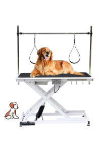 Heavy Duty Electric Lifting Pet Dog Grooming Table for Large Dogs with Overhead Arm, Anti-Skid Rubber Desktop and Powerful Motor, 50'' / White