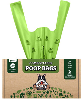 Pogi's Compostable Dog Poop Bags with Handles - 250 Doggie Poop Bags with Easy-Tie Handles - Leak-Proof Dog Waste Bags, Plant-Based, ASTM D6400, EN 13432 Certified Extra Large Poop Bags for Dogs