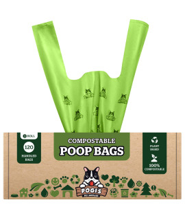 Pogi's Compostable Dog Poop Bags with Handles - 120 Doggie Poop Bags with Easy-Tie Handles - Leak-Proof Dog Waste Bags, Plant-Based, ASTM D6400, EN 13432 Certified Extra Large Poop Bags for Dogs