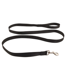 Flat Dog Leash, Strong and Durable, Soft, Comfortable Nylon Fabric, for Small, Medium and Large Dogs, Attaches to Pet Collar (6 Foot, Black)