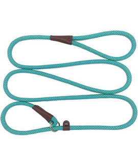BTINESFUL 7FT Slip Lead Dog Leash, Strong Nylon Rope Leash, 1/4 & 1/2 inch Diam Dog Training Lead for Small Medium Large Dogs (1/4 * 7 FT, Green Dot)