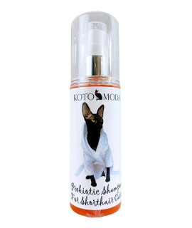 Kotomoda Probiotic Shampoo for Shorthair cats 120 ml, cornish Rex, Devon Rex, Oriental