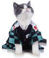 Impoosy Cat Halloween Costume Funny Puppy Clothing Kitten Cosplay Pet Clothes Small Dog Outfits (Medium)