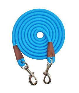 SEPXUFORE Dog Tie Out Rope Tether, 8/10/ 15/20/ 30FT Heavy Duty Nylon Check Cord for Strong Small Medium Large Dogs Indoor Outdoor Yard Playing Camping Backyard (Blue, 3/8 x 8ft)