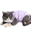 kzrfojy Cat Surgery Recovery Suit Cat Onesie for Cats After Surgery Spay Surgical Abdominal Wound Skin Diseases E-Collar Alternative Wear (Pruple-M)