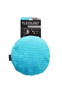 Playology Plush - Crinkle Disk - Large - Engaging All-Natural Peanut Butter Scent