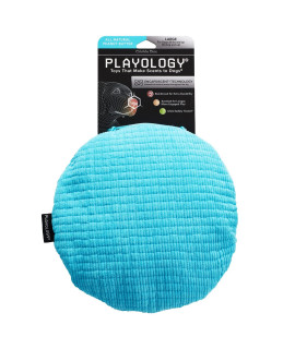 Playology Plush - Crinkle Disk - Large - Engaging All-Natural Peanut Butter Scent