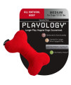 Playology Plush - Squeaky Bone - Medium - Engaging All-Natural Beef Scent