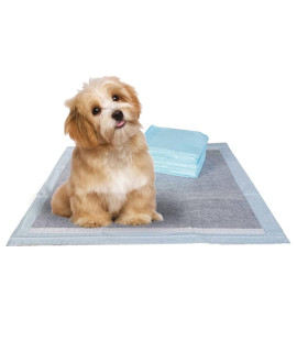 BV Pet Potty Training Pads for Dogs, Puppy Training Pad Pee Pads, 22 x 22, 100-Count, Charcoal Training Pads for Dogs and Puppies