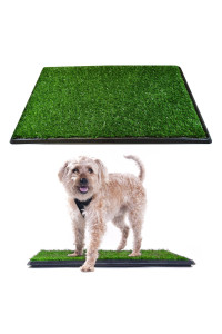Downtown Pet Supply Dog Grass Pad with Tray, 17 x 25 - Outdoor and Indoor Potty System for Dogs with Replaceable Synthetic Grass Pee Turf - Portable and Waterproof Turf Dog Potty