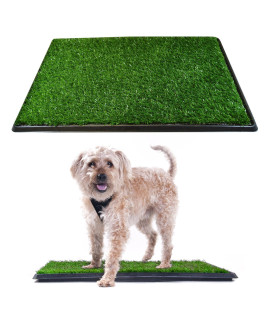 Downtown Pet Supply Dog Grass Pad with Tray, 17 x 25 - Outdoor and Indoor Potty System for Dogs with Replaceable Synthetic Grass Pee Turf - Portable and Waterproof Turf Dog Potty
