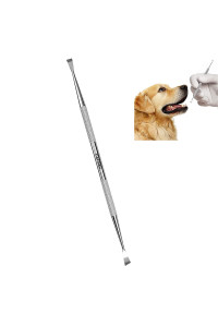 AFTREN Double Headed Tarter scraper Dental Tooth Scaler Plaque Remover (Perfect for cats and Dogs) Stainless Steel Teeth cleaning Tool