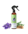 kin+kind Plant-Based Flea and Tick Spray for Dogs (12 fl oz) Lavender
