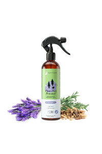 kin+kind Plant-Based Flea and Tick Spray for Dogs (12 fl oz) Lavender