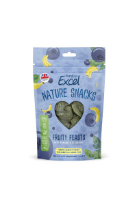 Excel Burgess Burgess Excel Fruity Feasts Treats for Rabbits and guinea Pigs, 60 g (Pack of 1) (FP100046SN12)