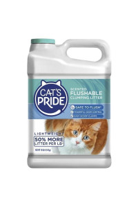 Cat's Pride Lightweight Clumping Litter: Flushable - Powerful Odor Control - Scented, 10 Pounds