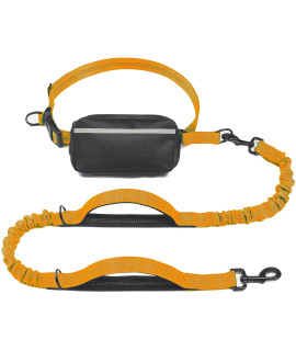 iYoShop Hands Free Dog Leash with Zipper Pouch, Dual Padded Handles and Durable Bungee for Walking, Jogging and Running Your Dog (Large, 25-120 lbs, Orange)