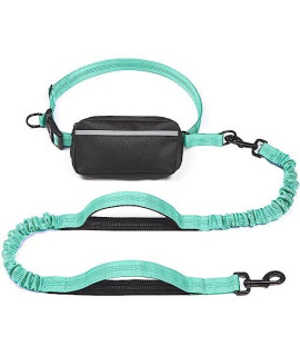 iYoShop Hands Free Dog Leash with Zipper Pouch, Dual Padded Handles and Durable Bungee for Walking, Jogging and Running Your Dog (Large, 25-120 lbs, Teal)