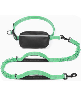 iYoShop Hands Free Dog Leash with Zipper Pouch, Dual Padded Handles and Durable Bungee for Walking, Jogging and Running Your Dog (Large, 25-120 lbs, Emerald)