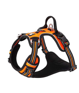 WINHYEPET True Love No Pull Dog Harness Extra Reflective Pet Harness for Small Medium Large Dogs Adjustbale for Running Walking Padded Soft Mesh Vest Easy Control TLH56512(Orange,L)