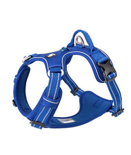 WINHYEPET True Love No Pull Dog Harness Extra Reflective Pet Harness for Small Medium Large Dogs Adjustbale for Running Walking Padded Soft Mesh Vest Easy Control TLH56512(Royal Blue,M)
