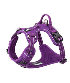 WINHYEPET True Love No Pull Dog Harness Extra Reflective Pet Harness for Small Medium Large Dogs Adjustbale for Running Walking Padded Soft Mesh Vest Easy Control TLH56512(Purple,L)