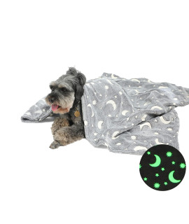 LUCKITTY Star Moon Dog Throw Blanket Glow in The Dark, Pet Throw Blankets Luminous, Soft Fleece Plush Glow Throw Blankets for Large Medium Dogs Puppy Cats, (38Wx54L, Grey)