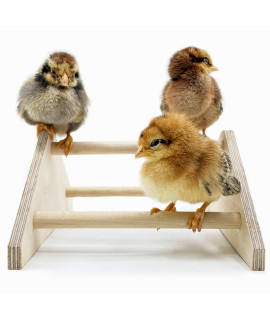 Mini Chick Roosting Perch (2 Pack) Chicken Toys for Coop and Brooder for Baby Chicks El Pollitos La Pollita Pollos Gallinas Polluelos