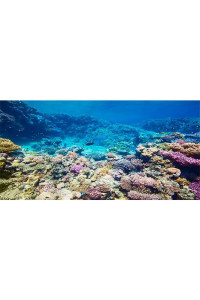 AWERT Aquarium Background Coral Reef Tropical Fish Undersea Fish Tank Background 72x18 inches Durable Polyester Background