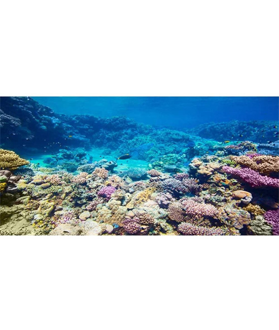 AWERT Aquarium Background Coral Reef Tropical Fish Undersea Fish Tank Background 72x18 inches Durable Polyester Background