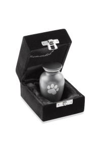 Reminded Pet cremation Urns for Dog and cat Ashes, Memorial Paw Print Urn - Extra Small Keepsake gray