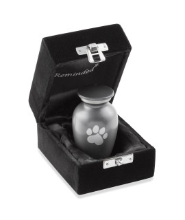 Reminded Pet cremation Urns for Dog and cat Ashes, Memorial Paw Print Urn - Extra Small Keepsake gray
