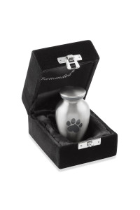 Reminded Pet cremation Urns for Dog and cat Ashes, Memorial Paw Print Urn - Extra Small Keepsake Silver