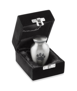 Reminded Pet cremation Urns for Dog and cat Ashes, Memorial Paw Print Urn - Extra Small Keepsake Silver