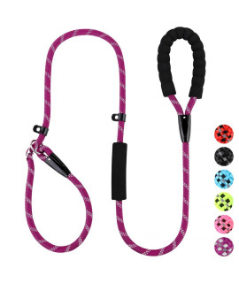 PLUTUS PET Slip Lead Dog Leash, Anti-Choking with Traffic Padded Two Handles, Reflective Strong Sturdy Heavy Duty Rope Leash, 6FT Dog Training Leash for Medium Large Dogs, 6' Purple