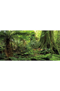 AWERT 72x24 inches Forest Terrarium Background Stone Green Huge Tree Reptile Habitat Background Tropical Rainforest Aquarium Background Durable Polyester Background