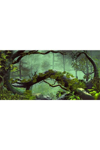 AWERT 48x18 inches Foggy Forest Terrarium Background Stone Green Tree Tropical Reptile Habitat Background Rainforest Aquarium Background Durable Polyester Background