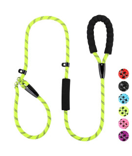 PLUTUS PET Slip Lead Dog Leash, Anti-Choking with Traffic Padded Two Handles, Reflective Strong Sturdy Heavy Duty Rope Leash, 6FT Dog Training Leash for Medium Large Dogs, 6' Green