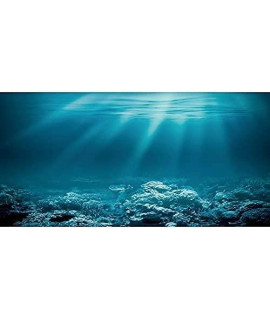 AWERT 72x24 inches Undersea Theme Aquarium Background Sunshine Underwater World Fish Tank Background Polyester Background