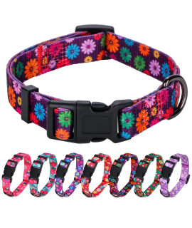 Rhea Rose girl Dog collars Fall Daisy Pattern, colorful Flowers Print, Female collar, Dark Purple, Large