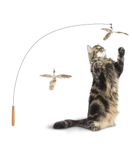 FUKUMARU Cat Wand Toy, 35.5 Inch Cat Feather Propeller Toy with Bell, Steel Wire Cat Toy for Indoor Cats with Natural Feather