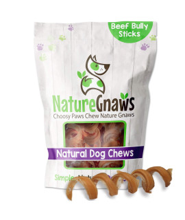 Nature Gnaws Bully Stick Springs for Dogs - Premium Natural Beef Dental Bones - Long Lasting Curly Dog Chew Treats for Aggressive Chewers - Rawhide Free 6 Count (Pack of 1)
