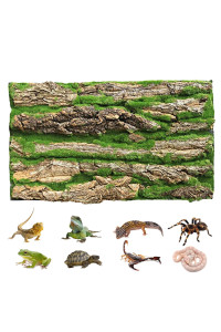 PINVNBY Reptile Cork Terrarium Background,Bearded Dragon Tank Natural Bark Backdrop Wall Habitat Decor with Artificial Moss,15.75?11.8 Reptile Carpet for Gecko Lizard Tortoise Frog Chameleon(1 Pack)