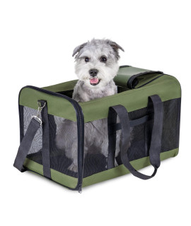 HITSLAM Pet carrier Dog carrier Soft Sided Pet Travel carrier for cats, Small Dogs, Kittens or Puppies, collapsible, Durable, Airline Approved, Travel Friendly green (L)